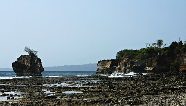 UjungKulon2011 362