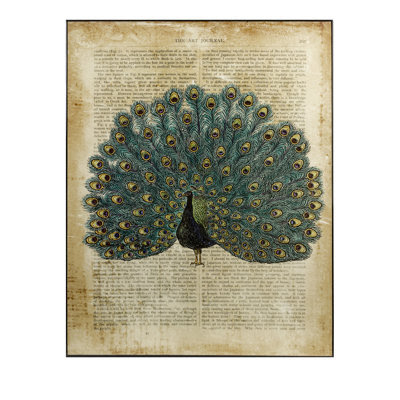 IMAX Peacock in Print Wall Decor | Wayfair