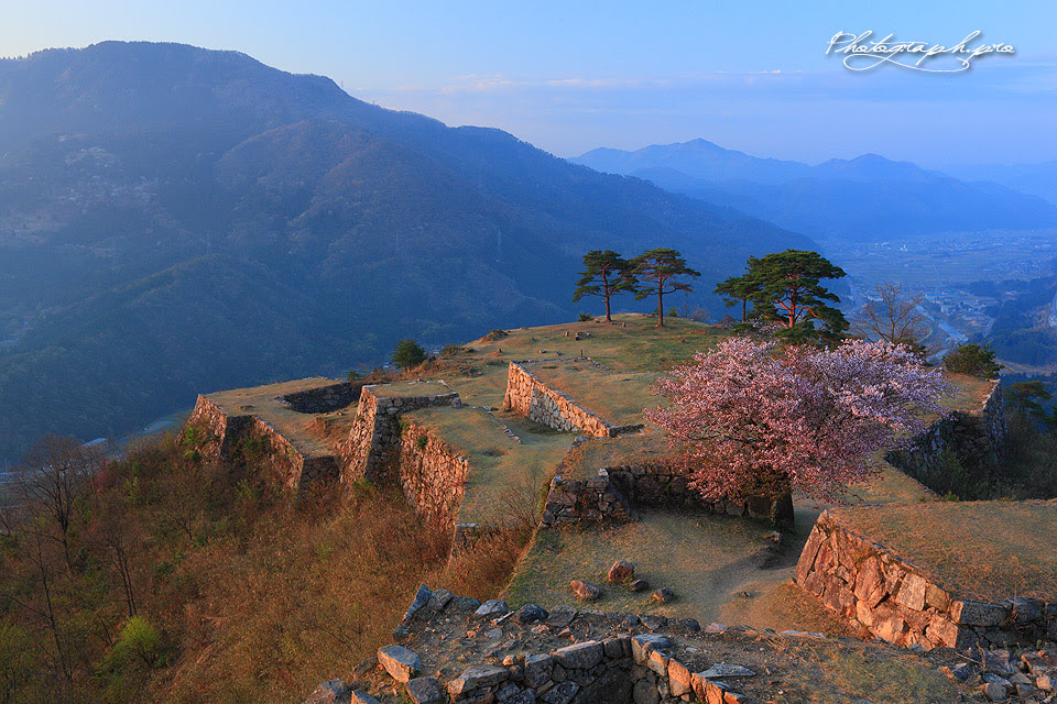 竹田城跡の桜紀行