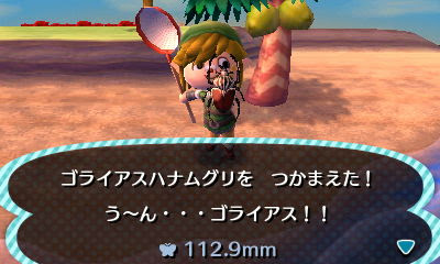 とびだせどうぶつの森 南の島 虫取り とびだせどうぶつの森 ななむら日記