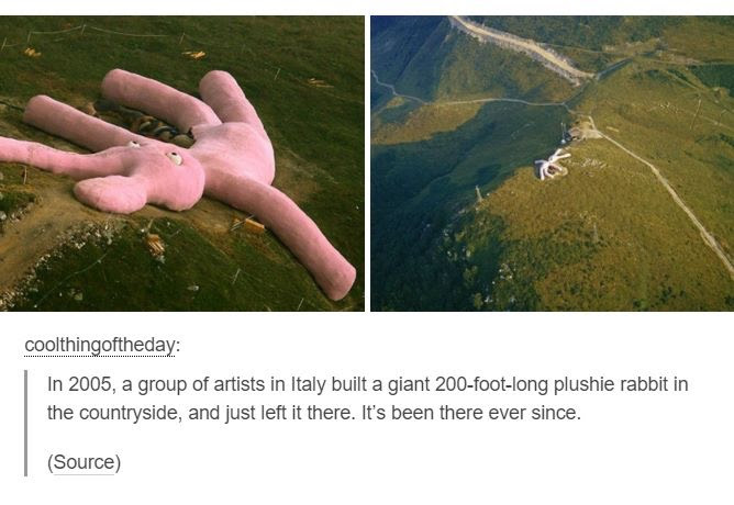 Who Doesnt Want A 200 Ft Plush Bunny In Their Backyard