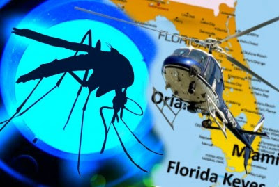 GM-mosquito-release