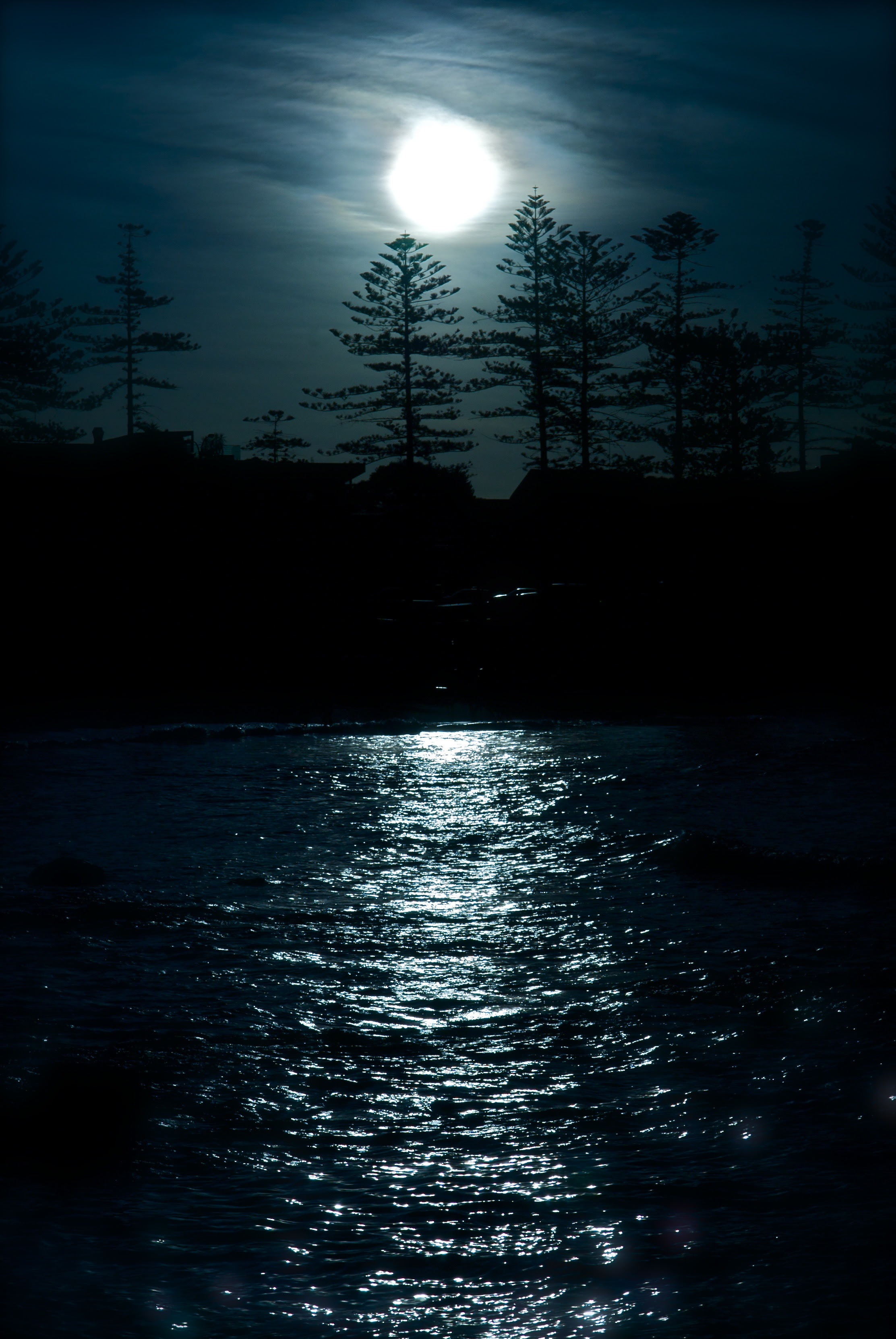 フリー写真素材 自然 風景 月 夜空 画像素材なら 無料 フリー写真素材のフリーフォト