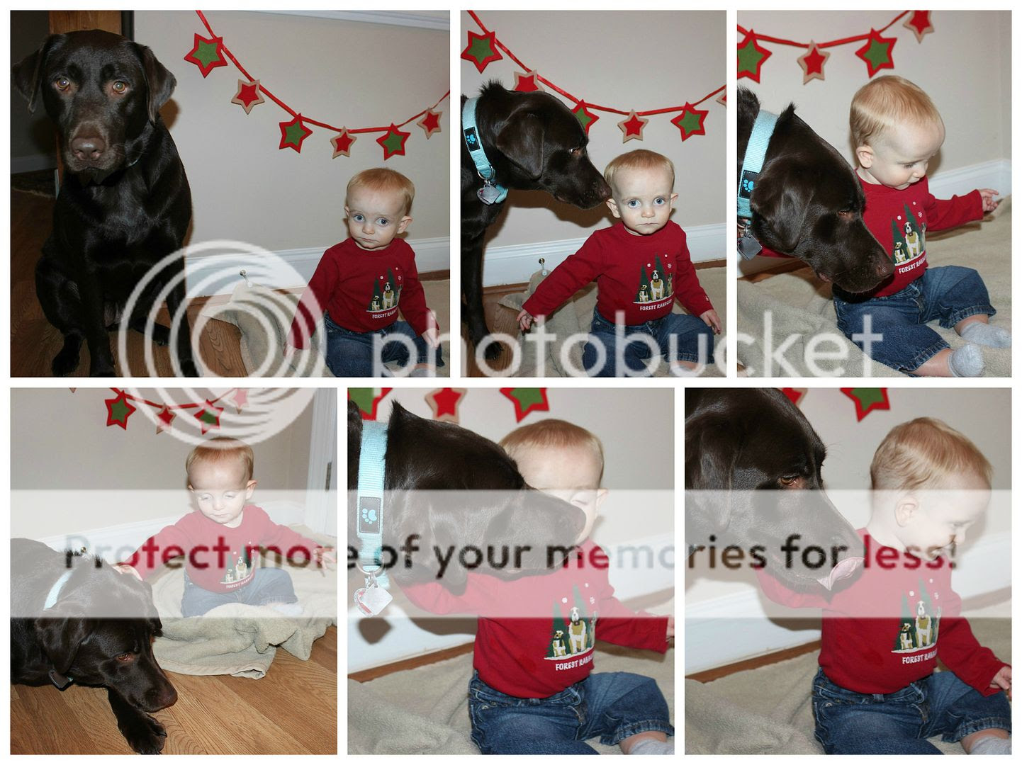photo Mattox.collage16_zps4z3ahpqe.jpg