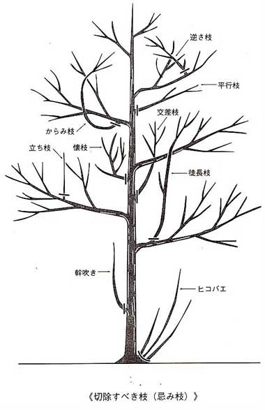 月刊otani 今月のエッセイ