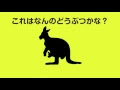 √100以上 シルエット クイズ 動物 190847