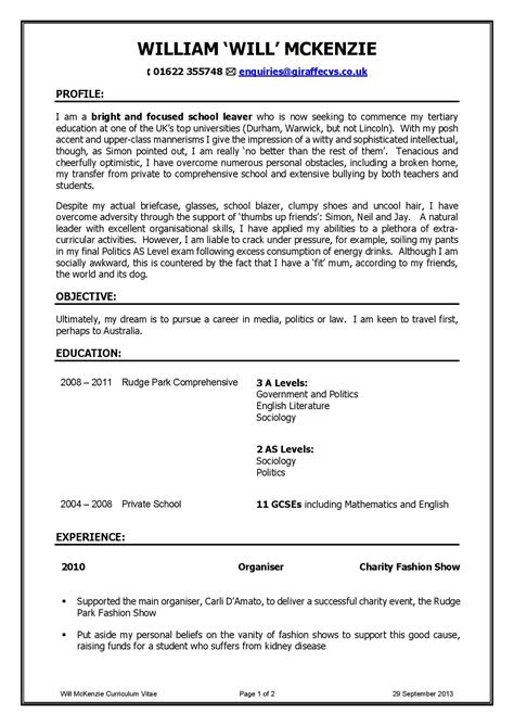 Will McKenzie's CV, The Inbetweeners - Giraffe CVs