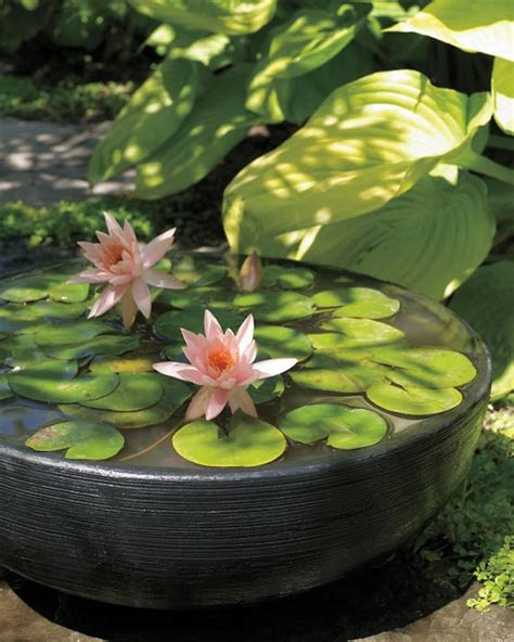 Make sure to water your garden efficiently and effectively, starting at the right time of day. 30 Beautiful Backyard Ponds And Water Garden Ideas