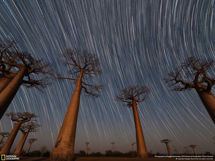 national-geographic