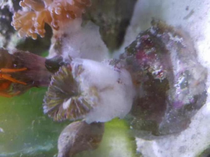 Click image for larger version Name: 14980760833032107470669_1498076113826.jpg Views: N/A Size: 32.5 KB ID: 157722