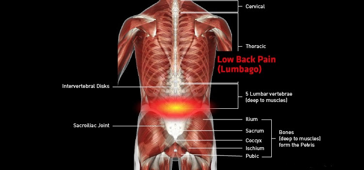 Back Pain and Tendons - Fitness-Health-Food