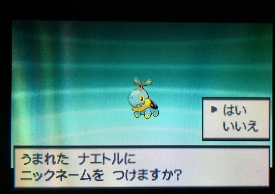 2 29 色違いナエトル 異界見聞録