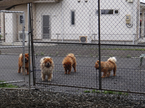 DSC07835