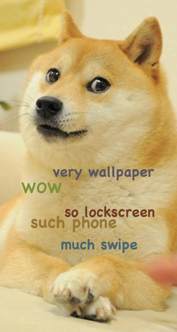 Doge Meme Wallpaper - WallpaperSafari