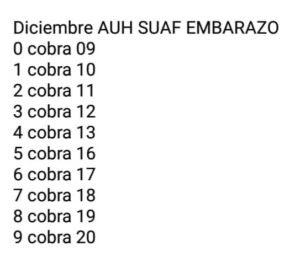 La Anses Anuncio Las Fechas De Cobro De Diciembre Para Asignaciones Jubilaciones Y Pensiones Fm Vinas 96 3 La Primera En General Alvear Mendoza