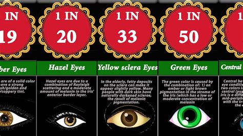 probability comparison human eye colors eye color change youtube