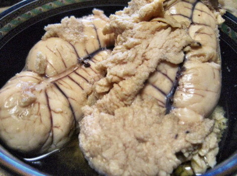 チヌ チヌ 旬ののっこみの黒鯛