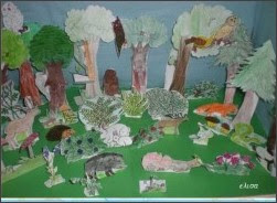 http://maestraelisa.blog.tiscali.it/Diario_di_scuola___Il_diorama_del_bosco__1990632.shtml