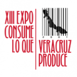 Elecciones méxico 2021