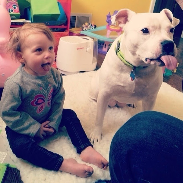 kids and animals