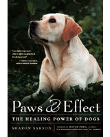 Paws Effect The Healing Power Of Dogs