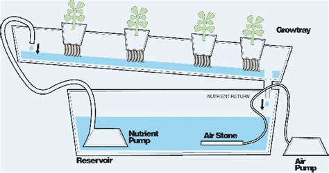 hydroponics work  mega guide