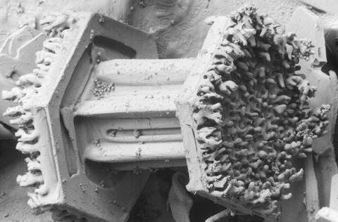 Um cristal de neve com gotas de água congeladas na superfície ultra-gelada com cerca de 50 microns.