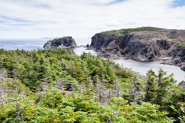 jagged coastline, Twillingate, Newfoundland