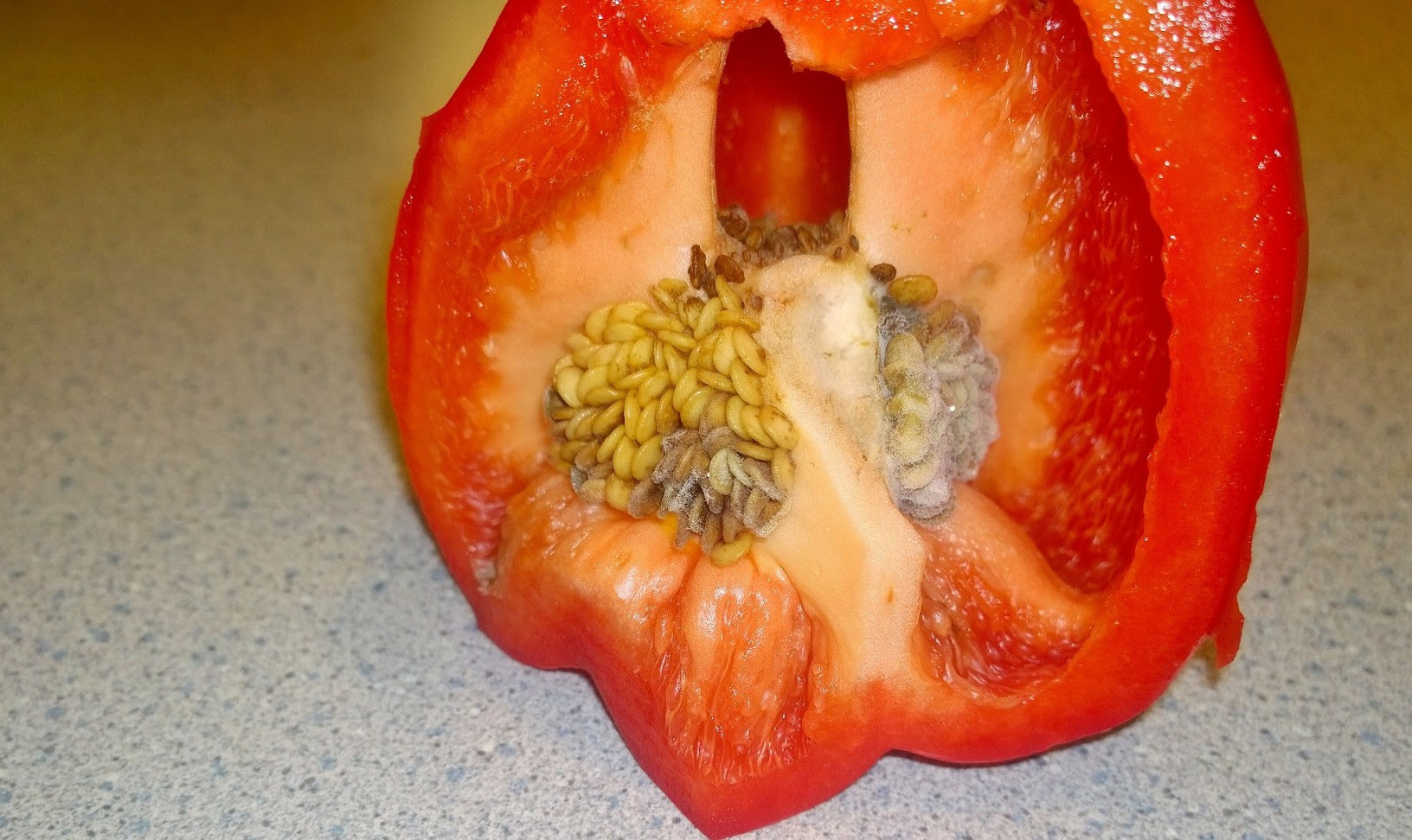 If Part Of A Fruit Vegetable Has Mold Do You Throw The Whole Thing Away Or Cut Around It And Use The Rest R Cooking