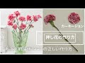 押し花 着色 やり方 306615-押し花 着色 やり方