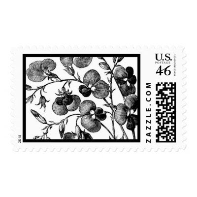 English Garden A by Ceci New York Postage