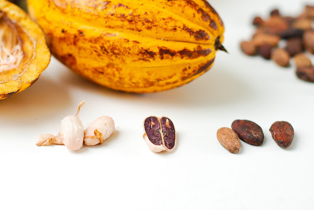 Cacao