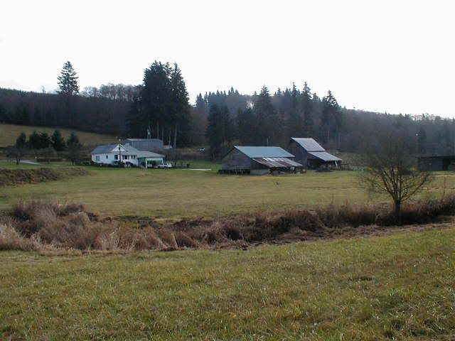 creek and the old farm