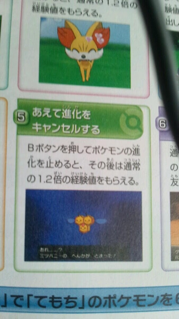 ポケモンxyは進化キャンセルで経験値アップ 多めにもらえる ポケモン剣盾 ソードシールド 攻略 最新情報 Pokemon Times