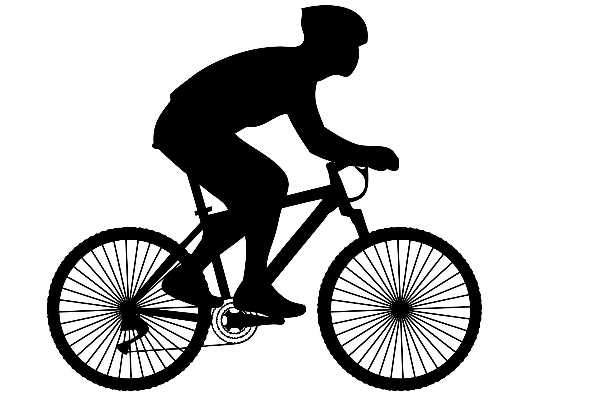 Free Bicycle Rider Cliparts Download Free Clip Art Free Clip Art On Clipart Library