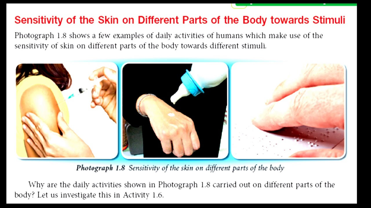 Respiration · chapter 2 : Science Form 3 Chapter 1 Stimuli Responses Kssm Otosection