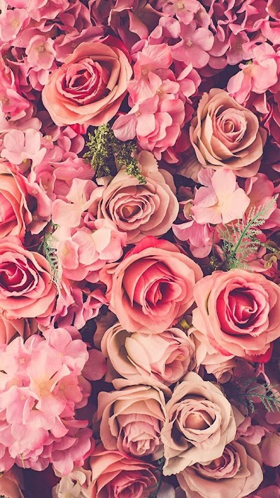 Wallpaper Iphone Flowers
