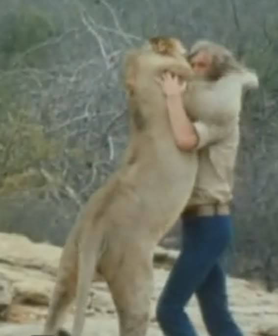 lion brother