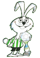 América Futebol Clube (Minas Gerais) - Desciclopédia