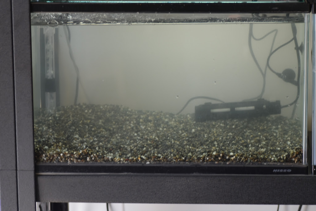 底面フィルター水槽セット めだか屋悠遊