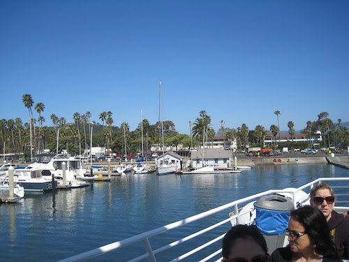 whalewatch6338