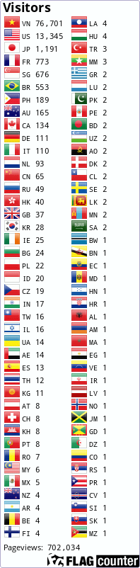 Flag Counter
