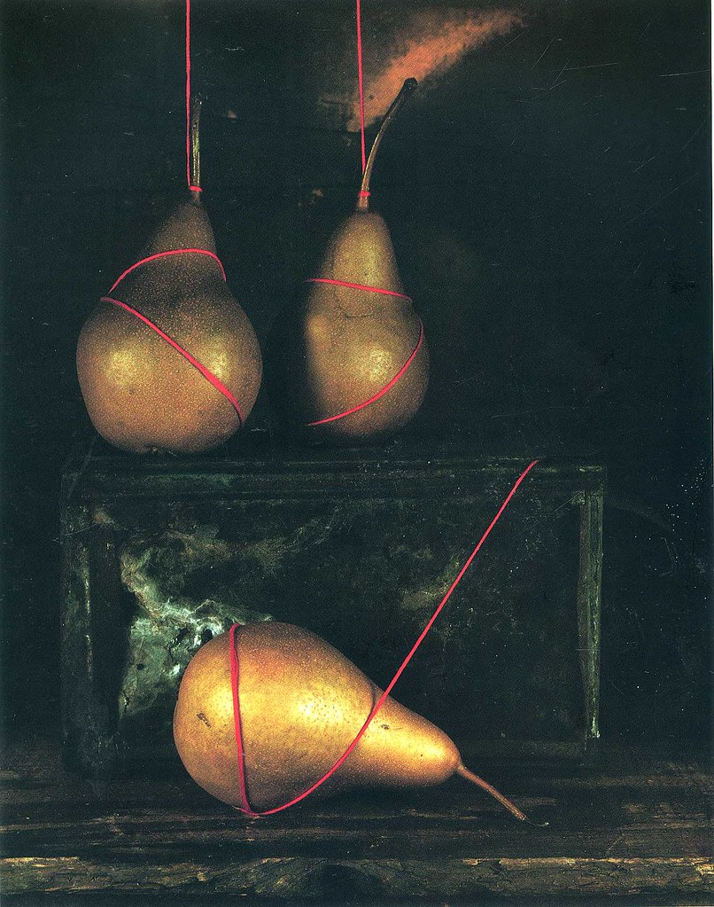 Art 568