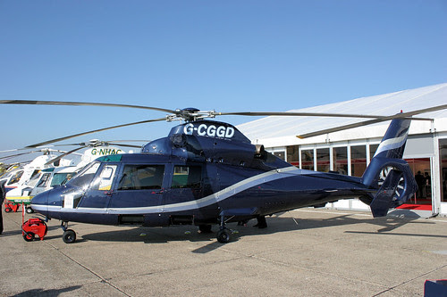 G-CGGD