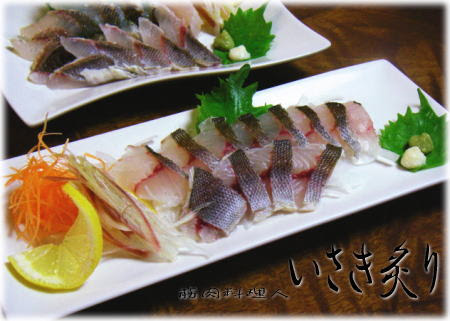 イサキの炙り刺身 魚料理と簡単レシピ