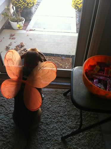 Halloween 2010 050