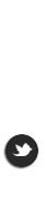  photo twitter-41.png
