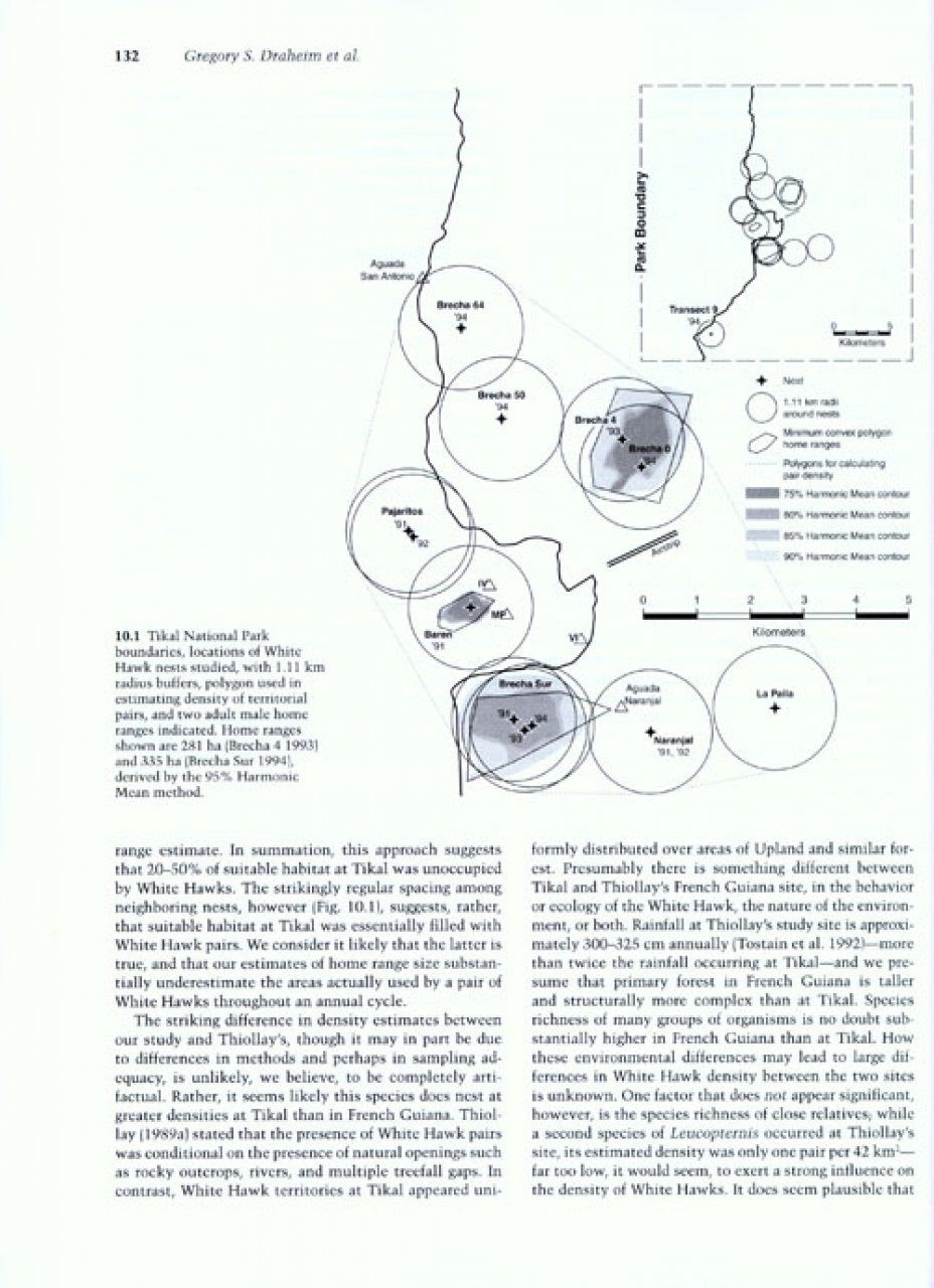 Neotropical Birds Of Prey Biology And Ecology Of A Forest