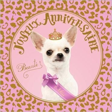 Carte Anniversaire Chihuahua