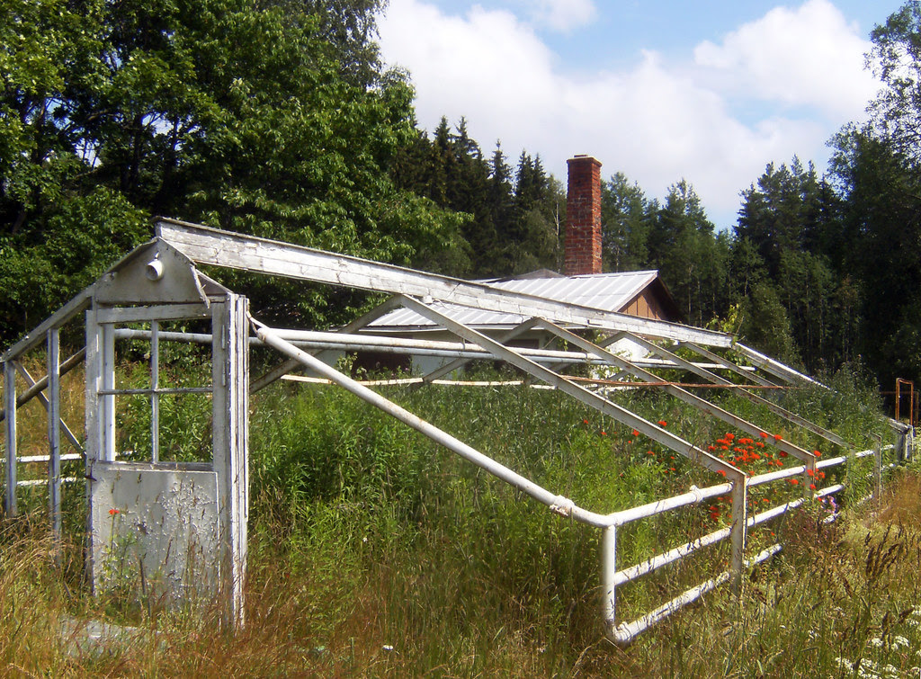 Abandoned Greenhouse